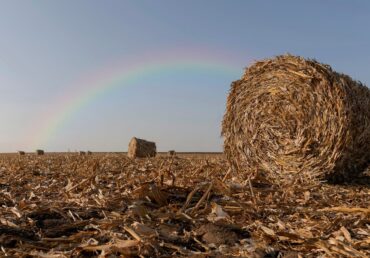 Superfoods you should be eating